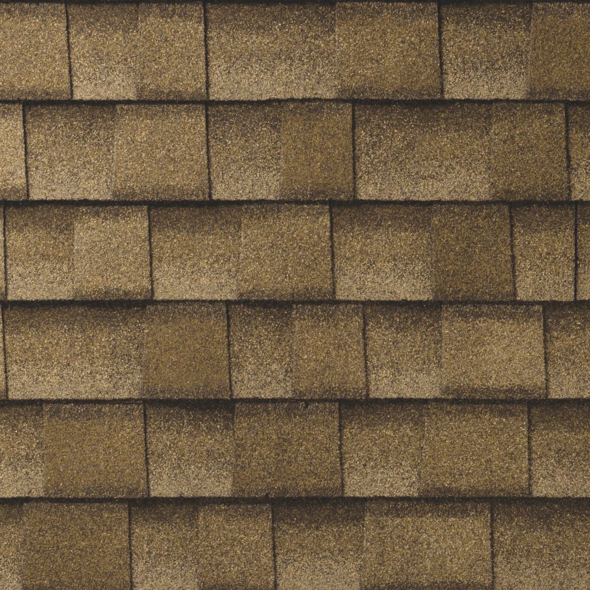 Shelter Exteriors Images